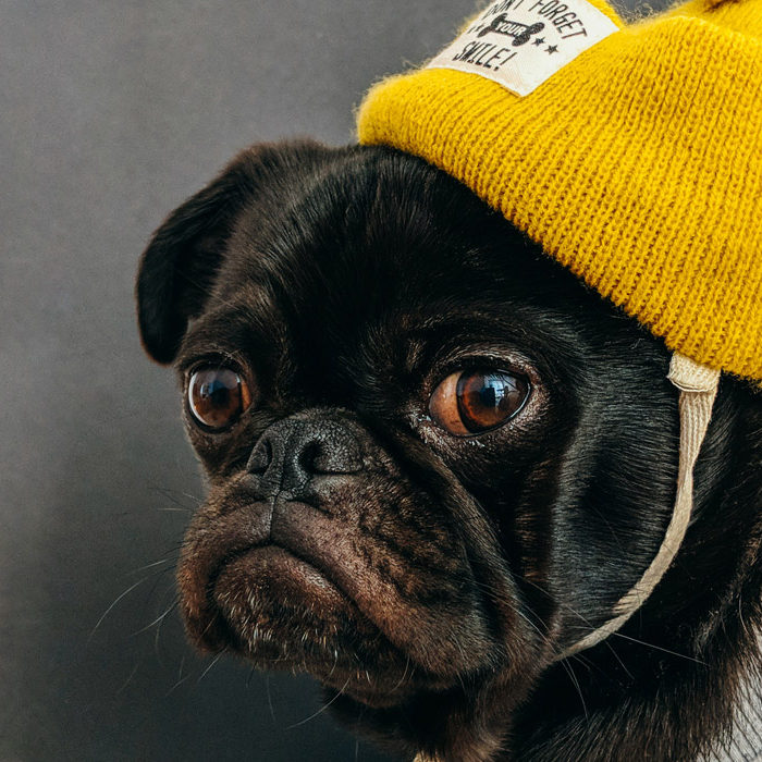 How to Create Beautiful UI Design Systems